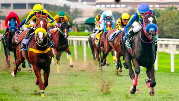 gran premio