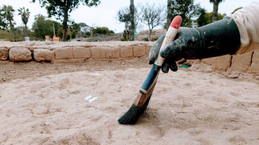 Parque de las Leyendas: Estas son las actividades para conmemorar el Día del Arqueólogo