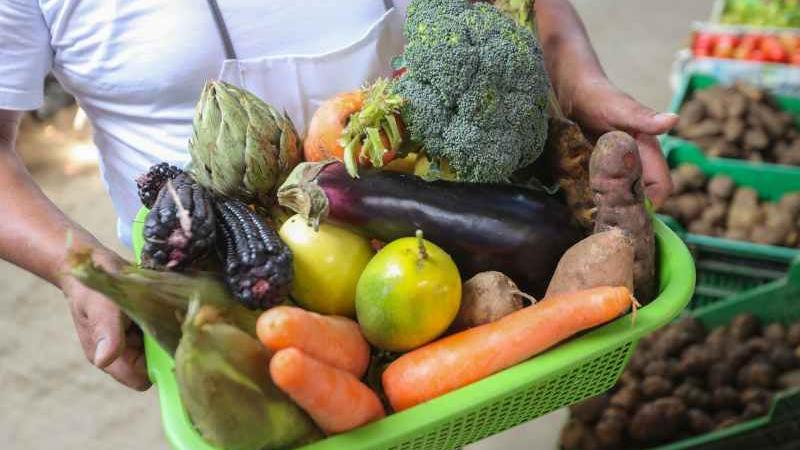 verduras