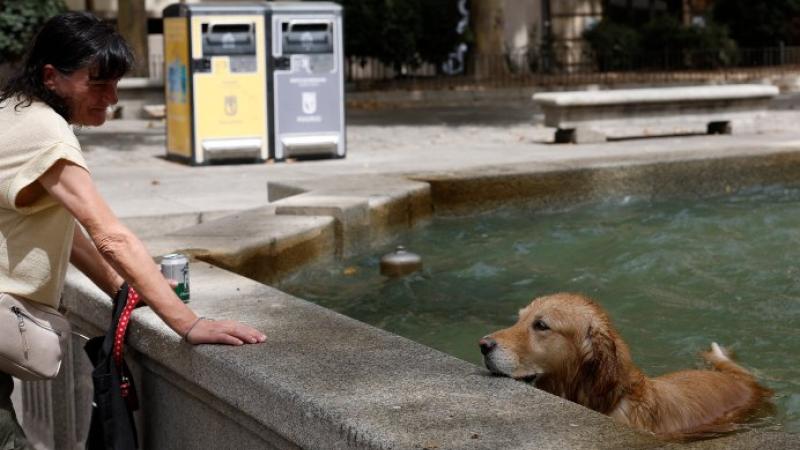 España presenta temperaturas inusuales