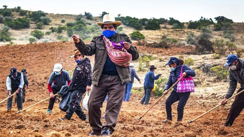 Casi 130 mil productores agrarios fueron beneficiados con subvención de S/  350 y S/ 1300 | TVPerú