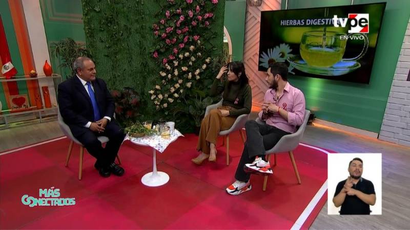 Plantas medicinales para desinflamar el estómago