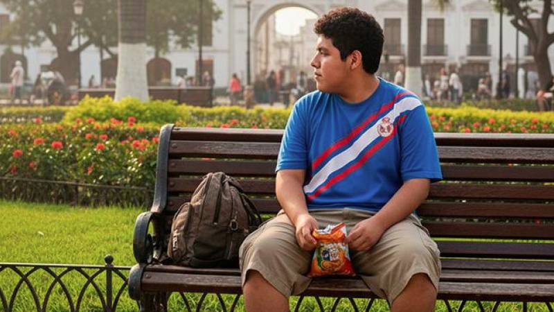 Minsa sobre anemia y sobrepeso