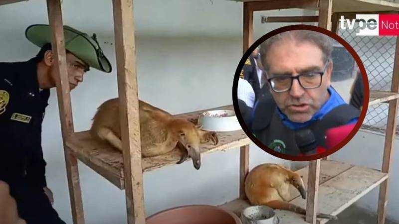 animales loreto pnp