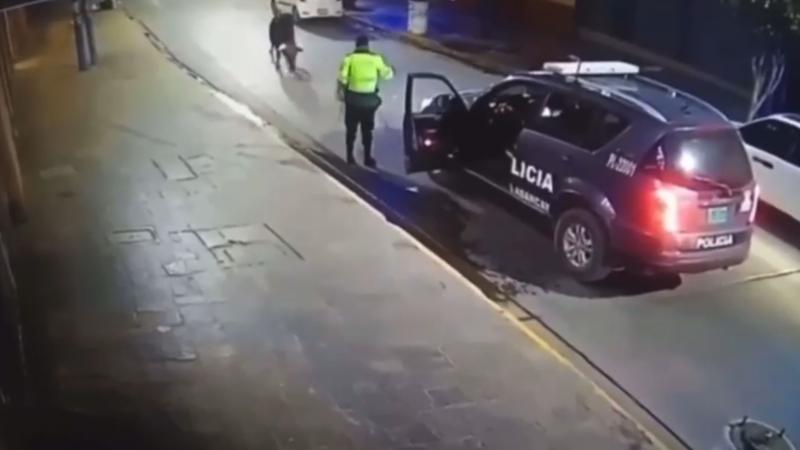 Apurímac Abancay Toro Policía Cámaras de vigilancia TikTok