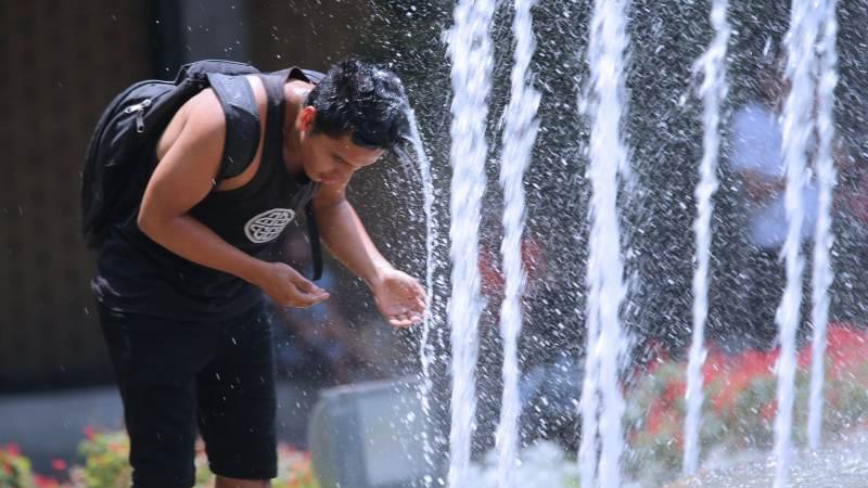 CALOR EN LA SELVA