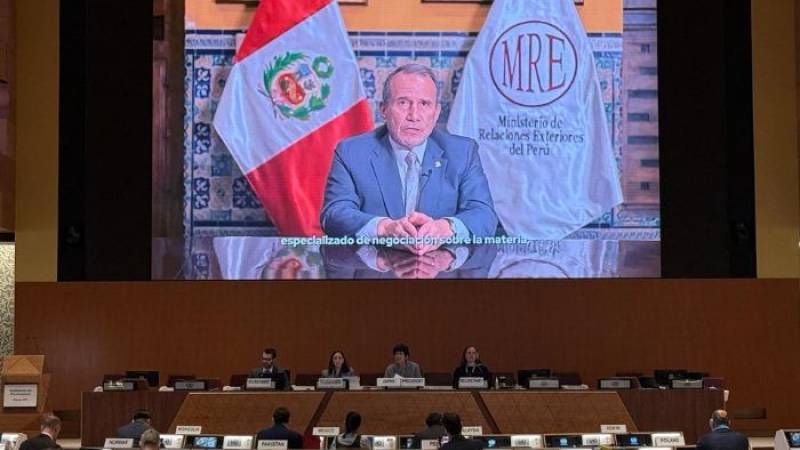 canciller Elmer Schialer