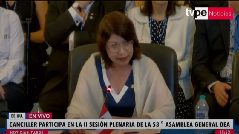 Ana Cecilia Gervasi canciller Gervasi OEA CIDH violencia Dina Boluarte