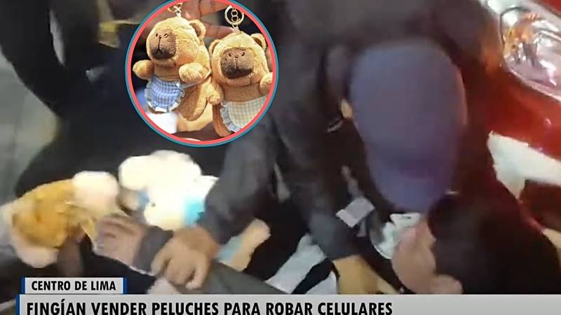 capibara pnp peluches robos avenida grau robo de celulares