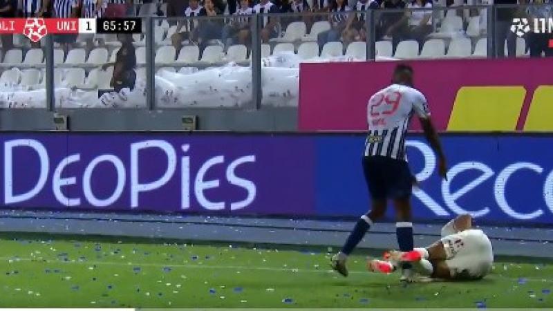EXPULSION DE RAMOS