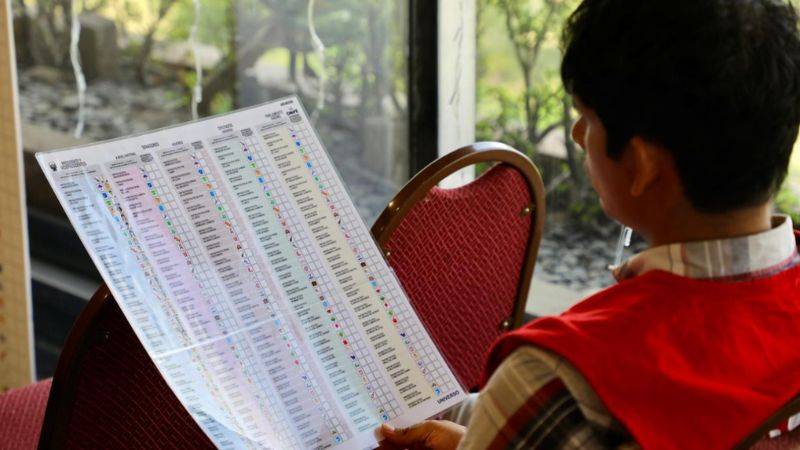 cédula de votación 2026