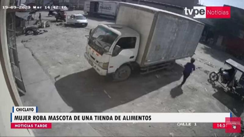 Chiclayo mujer robo mascota 