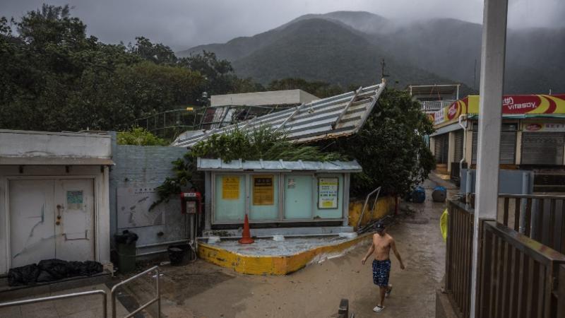Los fuertes vientos del Tifón derribaron muchos árboles que causaron daños. Foto: AFP.