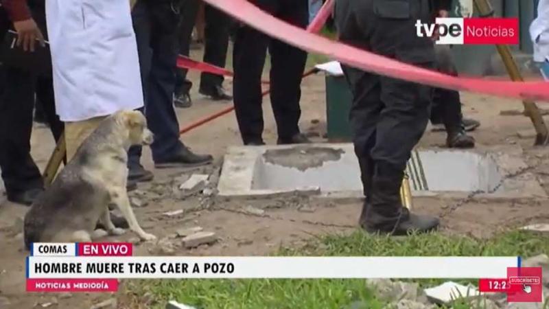 Coma pozo perrito