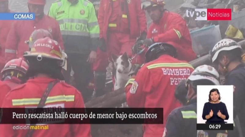 Comas accidente cuerpo de menor desaparecido bomberos perro guía