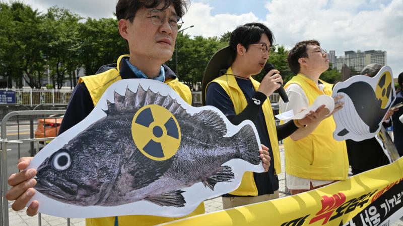 Corea del Sur Japón Fukushima Accidente nuclear Océano Pacífico China Corea del Norte medioambiente