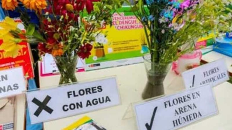 Semana Santa: Minsa recomienda reemplazar el agua de los floreros por arena húmeda