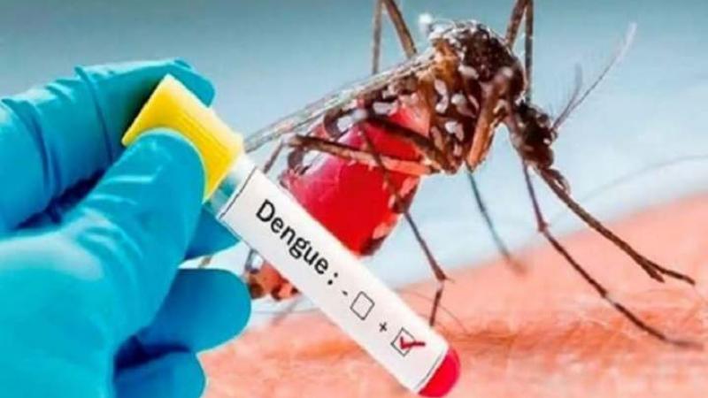 dengue Minsa casos vacunación