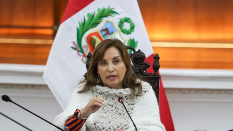 Dina Boluarte Ecuador Fernando Villavicencio