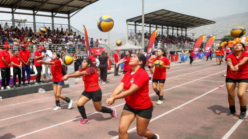 IPD academia Verano 2026