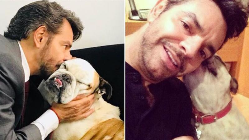 Eugenio Derbez anuncia la muerte de su perrita Fiona