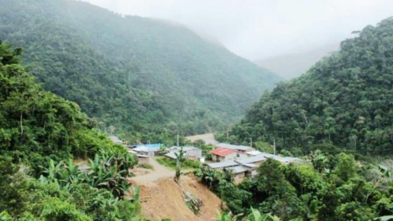 friaje selva