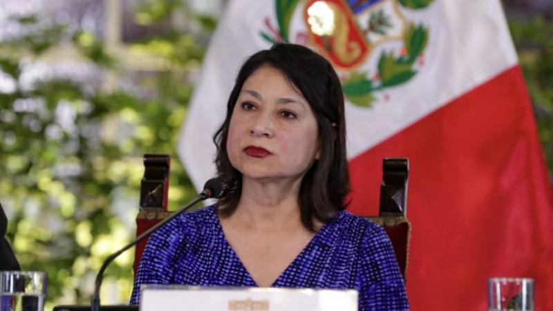 Canciller Ana Cecilia Gervasi renuncia