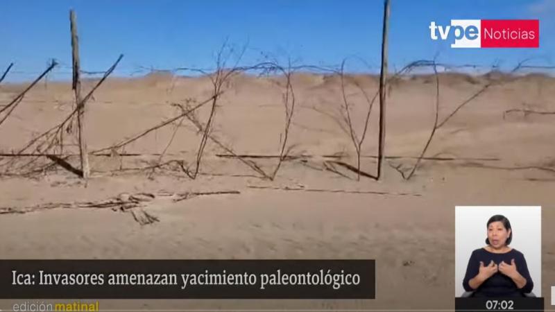 "Perucetus colossus" invasión desierto fósicles