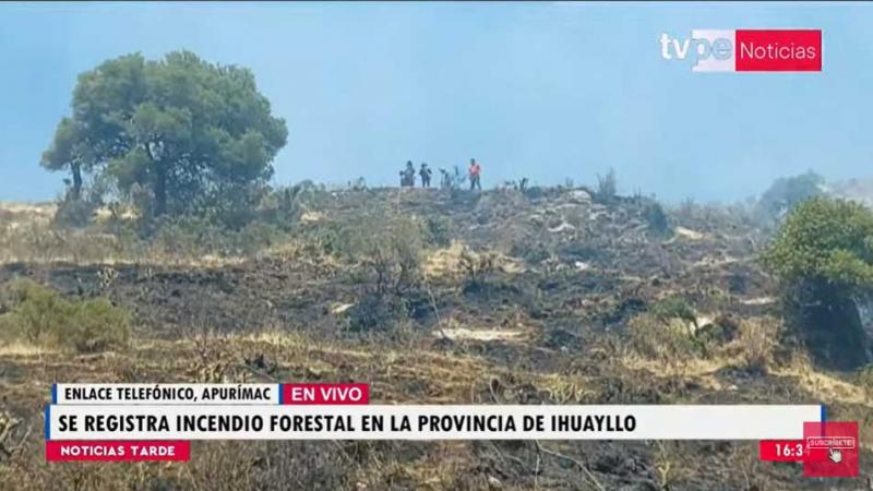 Apurímac: se registra incendio forestal en Ihuayllo