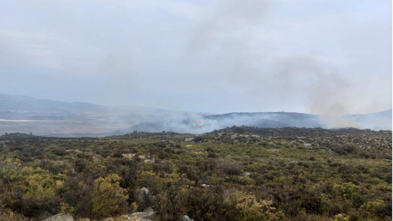 Incendio forestal en Caraveli , Arequipa 