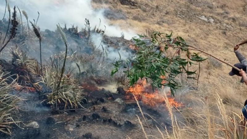 Áncash: incendio forestal duró dos días y consumió 15 hectáreas de pastos naturales