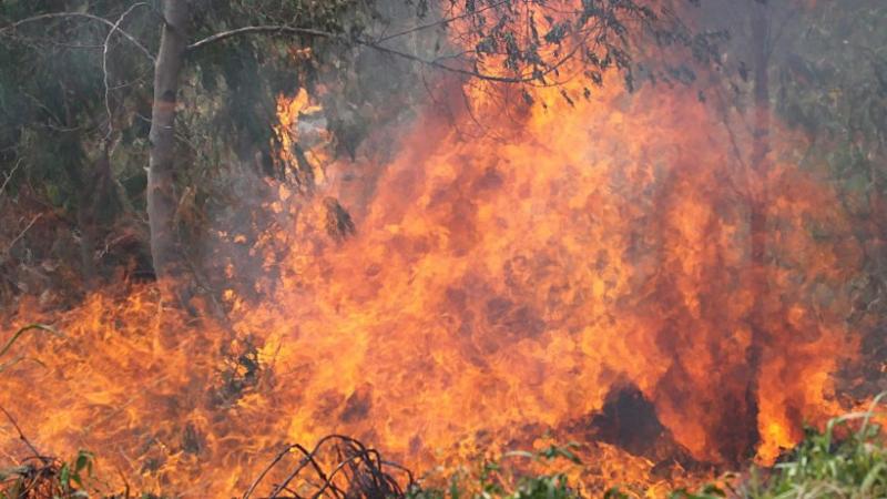 Bolivia registra incendios forestales en cuatro de sus nueve regiones