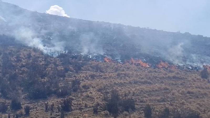 incendios forestales