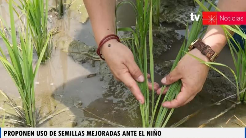 INIA Midagri TV Perú Noticias