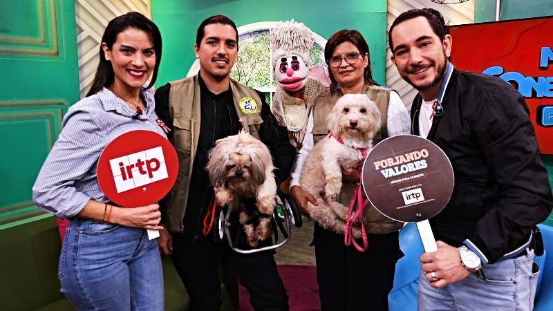irtp cultura albergue de perros