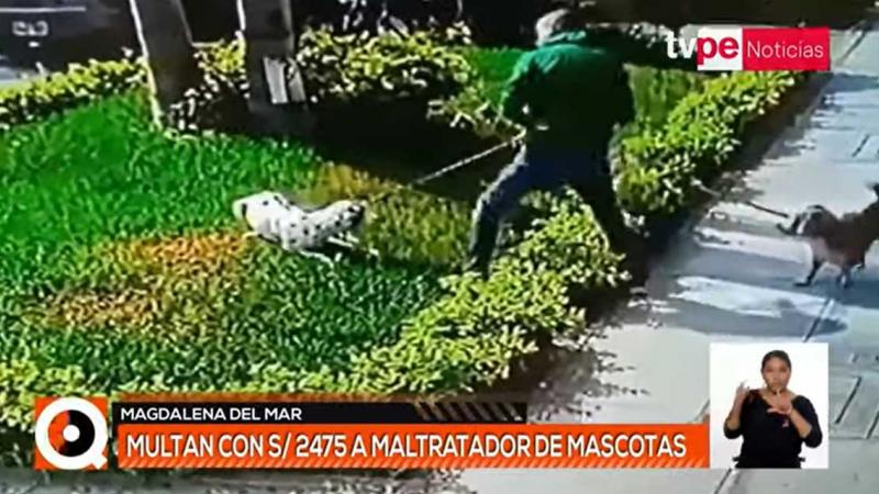 Magdalena: hombre que agredió a sus mascotas fue multado con S/ 2 475
