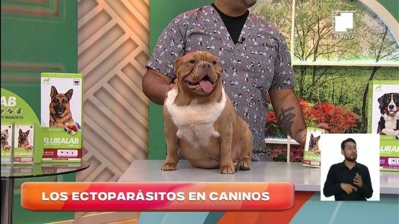 Más conectados