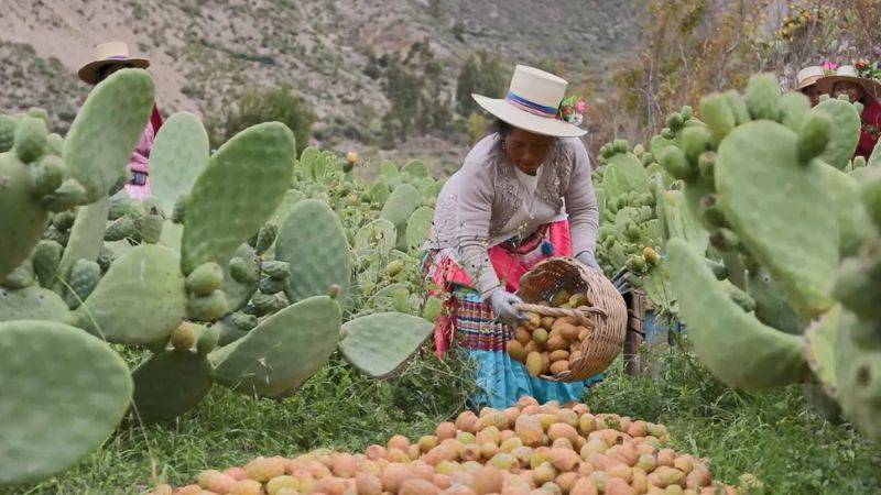 Más de 7400 mujeres reciben apoyo a planes de negocio
