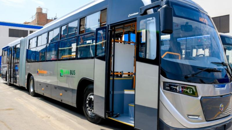 buses metropolitano