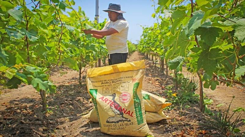 midagri agrorural agicultura guano