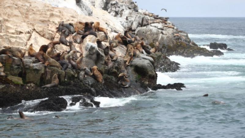 Ministerio del Ambiente promueve turismo sostenible con visita a las áreas naturales protegidas
