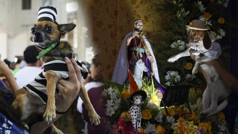 Nicaragua perros bendición San Lázaro