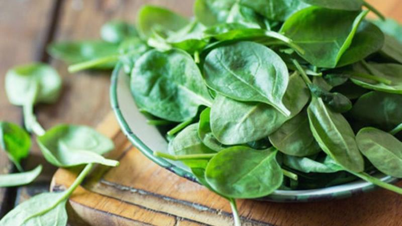 Espinaca: Un alimento que no puede faltar si quieres aumentar masa muscular