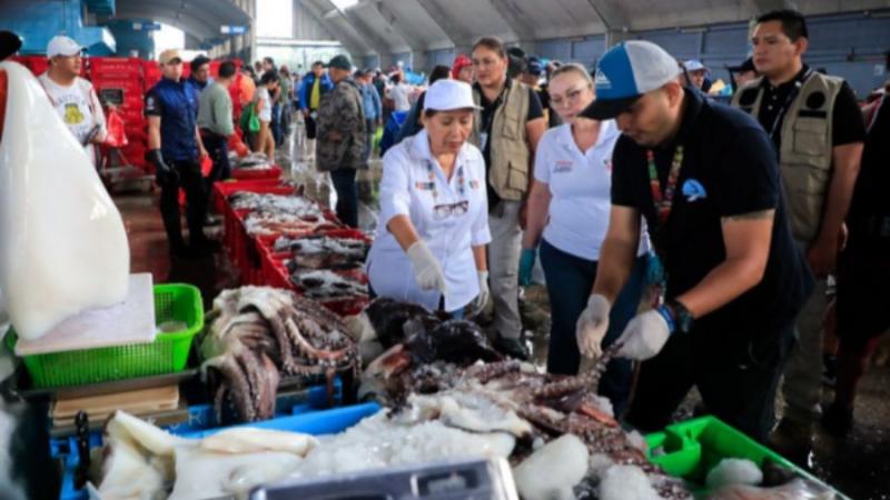 Semana Santa: Abastecimiento de pescados y mariscos alcanzará las 8400 toneladas 
