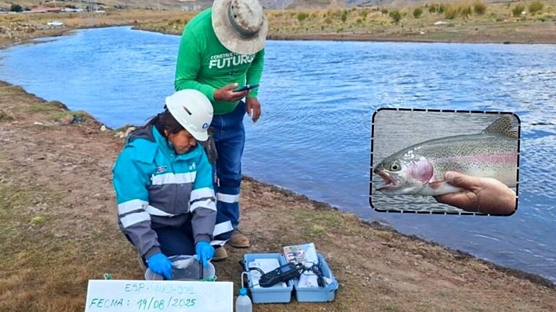 OEFA truchas minería 
