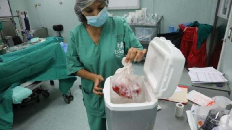Ministerio de Salud trasplante de órganos