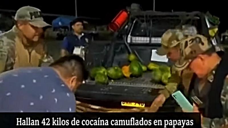 (42 Kilos de cocaína adentro de Papayas en la tolva de un furgón. Foto: Tv Perú)