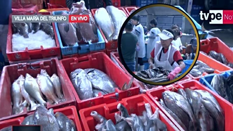 pescado terminal pesquero