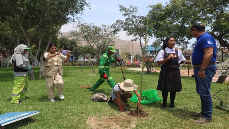 Chorrillos establece nuevo récord al sembrar 3 mil árboles