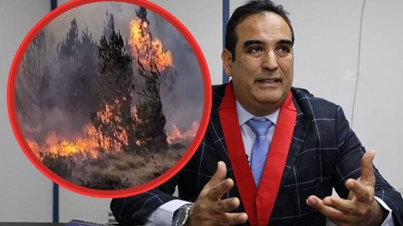 incendios forestales bosques